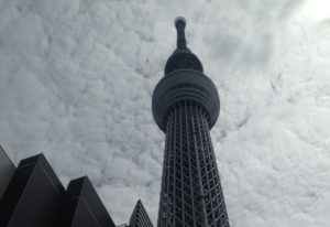 Albero del cielo di Tokyo